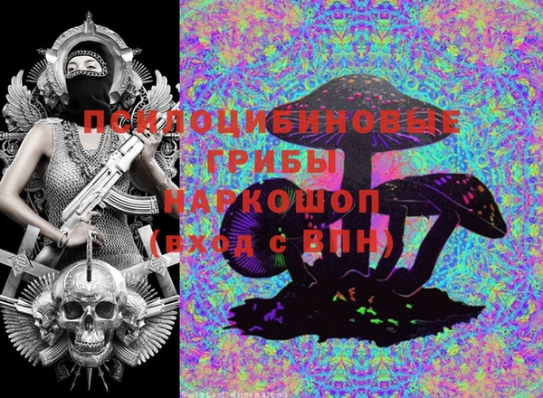 герыч Козловка