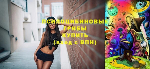 spice Козельск