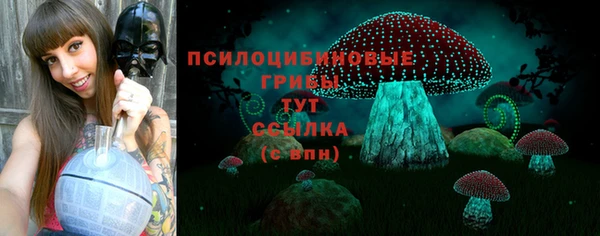 spice Козельск
